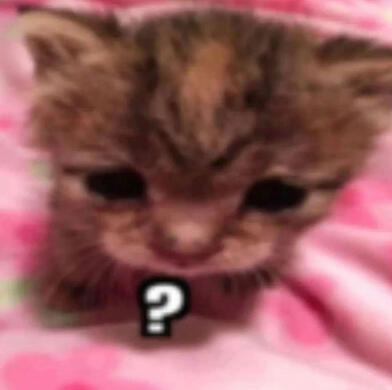 ?